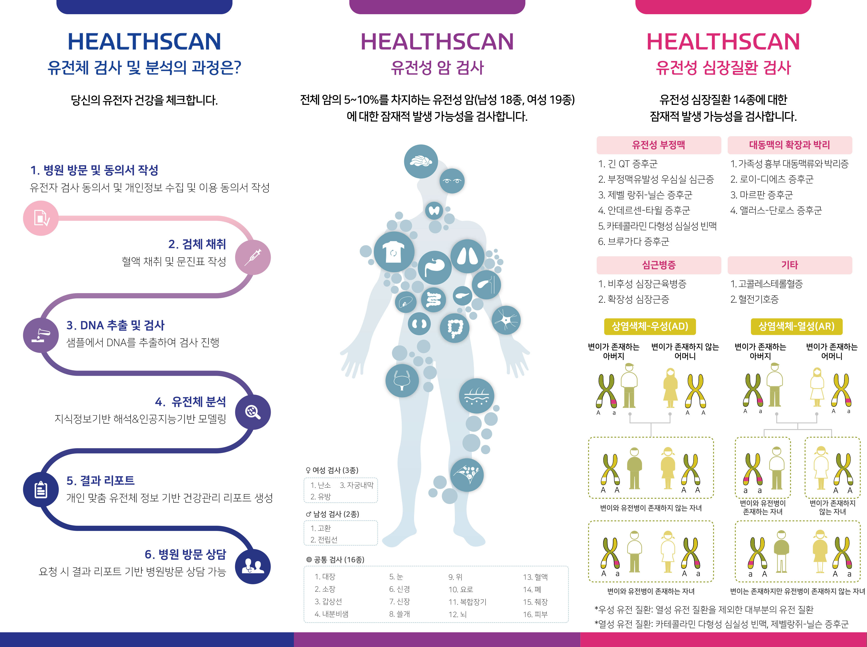 브로셔 이미지02